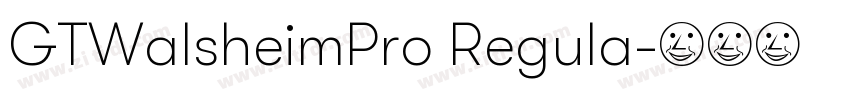 GTWalsheimPro Regula字体转换 GTWalsheimPro Regula字体转换
